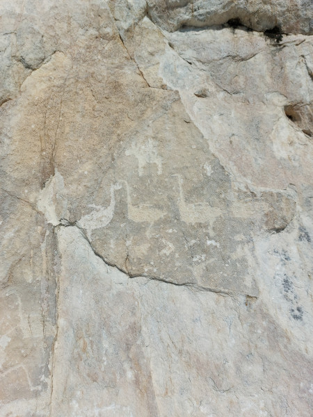 0047 Скала Саган Заба, петроглифы (2)